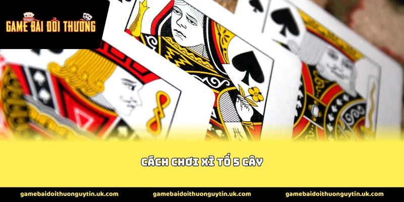 cách chơi xì tố 5 cây